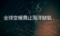 全球变暖竟让海洋缺氧	，3亿年前气候状态警示危机