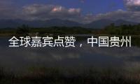 全球嘉宾点赞，中国贵州正点绿成“金”
