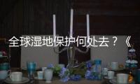 全球湿地保护何处去？《湿地公约》科技委员会主席这么说