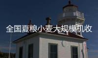 全国夏粮小麦大规模机收基本结束