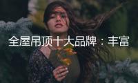 全屋吊顶十大品牌：丰富产品线 发挥自身优势