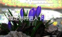 全屋定制将进入下半场 高端定制成角逐新阵地