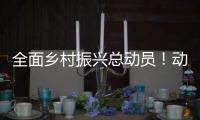 全面乡村振兴总动员！动画解读2021中央一号文件