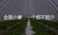 全面小康，一个都不能少