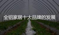 快排公司十年历程，霸屏兔 seo 的崛起与坚守
