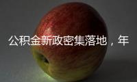 公积金新政密集落地，年内近20城支持房贷“商转公”