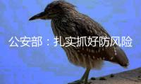 公安部：扎实抓好防风险、保安全、保畅通工作