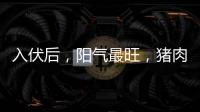 入伏后	，阳气最旺，猪肉鱼肉靠边站，多吃8样�，清热又解暑
