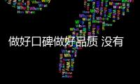 快排公司十年历程，霸屏兔 seo 的崛起与坚守