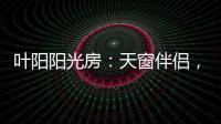 叶阳阳光房：天窗伴侣	，静音降温，防虫去热，享受清凉!