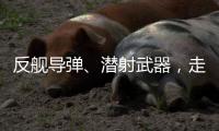 反舰导弹、潜射武器�	，走近航展里的“海防利器”丨2022航展