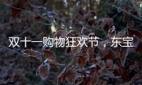 双十一购物狂欢节
，东宝床垫为爱“让利”