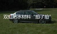 快排公司十年历程，霸屏兔 seo 的崛起与坚守