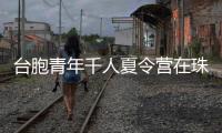 快排公司十年历程，霸屏兔 seo 的崛起与坚守