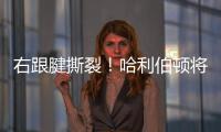 右跟腱撕裂
！哈利伯顿将缺席2025