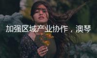 加强区域产业协作
，澳琴组团赴华东地区招商引资