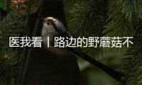 医我看丨路边的野蘑菇不要采	！花色难辨 毒藏其间