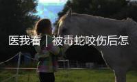医我看｜被毒蛇咬伤后怎么办？这份急救指南请收好