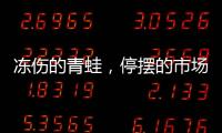 冻伤的青蛙
，停摆的市场	，结冰的高速
：湖南暴雪五日