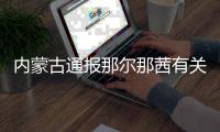 内蒙古通报那尔那茜有关核查情况�：涉嫌高考报名材料造假