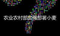 农业农村部加强部署小麦条锈病防控