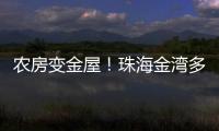 农房变金屋！珠海金湾多措并举盘活闲置农房