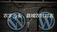农字当头，县域农村对农行的贡献度有多高？丨透视银行业年报⑥