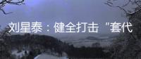 刘星泰�：健全打击“套代购”走私长效机制