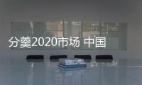 分羹2020市场 中国汽车照明品牌企业用实力说话