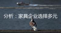 分析
：家具企业选择多元化发展还是专业化道路?