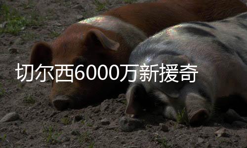 西万新援将比分锁定为3-0