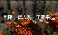 刚刚
，翟志刚、王亚平	
、叶光富3名航天员领命出征