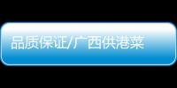 品质保证/广西供港菜 扫码即知质检认证
