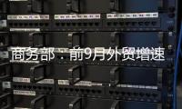 快排公司十年历程，霸屏兔 seo 的崛起与坚守