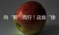 快排公司十年历程，霸屏兔 seo 的崛起与坚守