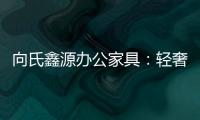 向氏鑫源办公家具：轻奢高级
	，演绎城市办公新美学