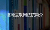 快排公司十年历程，霸屏兔 seo 的崛起与坚守