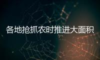 各地抢抓农时推进大面积单产提升�，持续夯实夏粮丰收基础