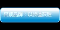 吊顶品牌
：以颜值获胜 以品质为王