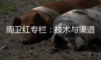 周卫红专栏�：技术与渠道
�，比克的双重坚持