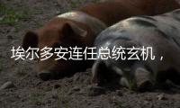 埃尔多安连任总统玄机，建国百年的“土耳其三变”丨智库视点