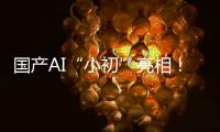 国产AI“小初”亮相
！智力媲美人类可自动学习