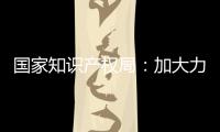 国家知识产权局：加大力度破解知识产权转移转化难题