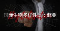 国际生物多样性日：菲亚特动力科技助力特提斯研究所地中海鲸目动物和海洋环境