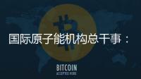 国际原子能机构总干事：国际核不扩散体系不应该被打破