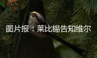 图片报：莱比锡告知维尔纳将不再上场，唯一下家或为纽约红牛