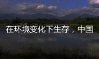 在环境变化下生存，中国十大管业品牌以最快的速度做调整