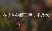 在炎热的夏天里，千鼎木门为您送上一份清凉!