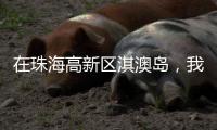 在珠海高新区淇澳岛
，我为全运种棵树