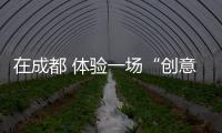 在成都 体验一场“创意”的经销商峰会暨新品鉴赏会